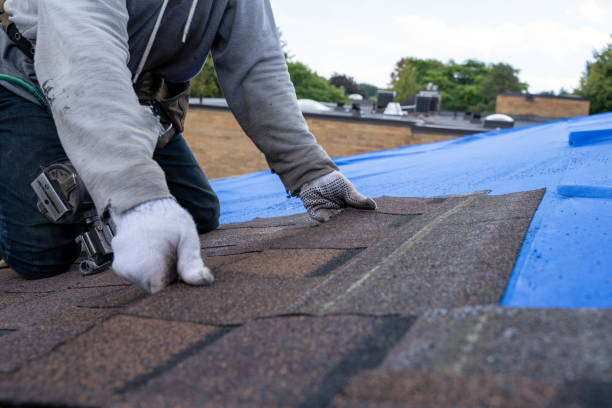 Best Metal Roofing Contractor  in Palo Cedro, CA